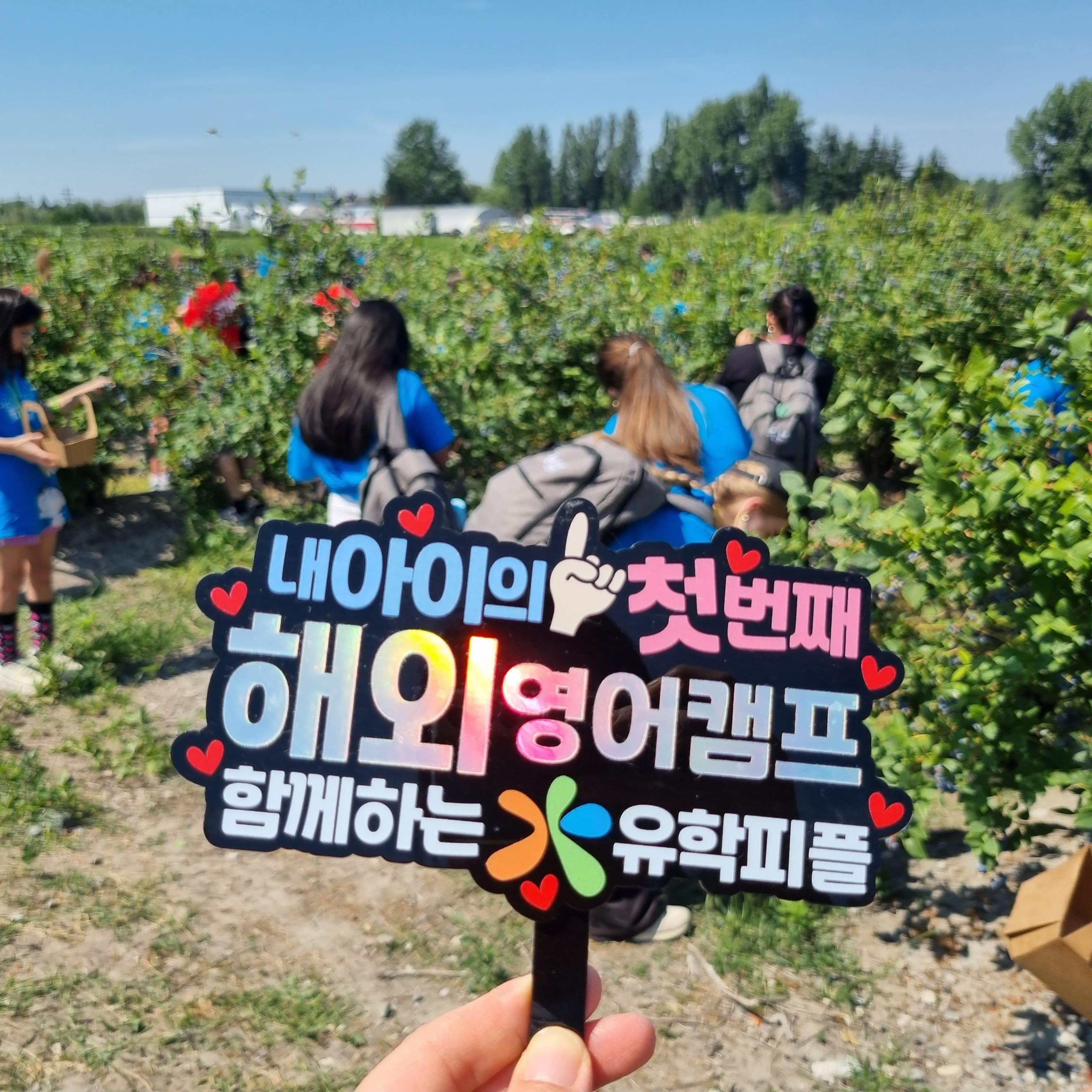 캠프 활동 사진